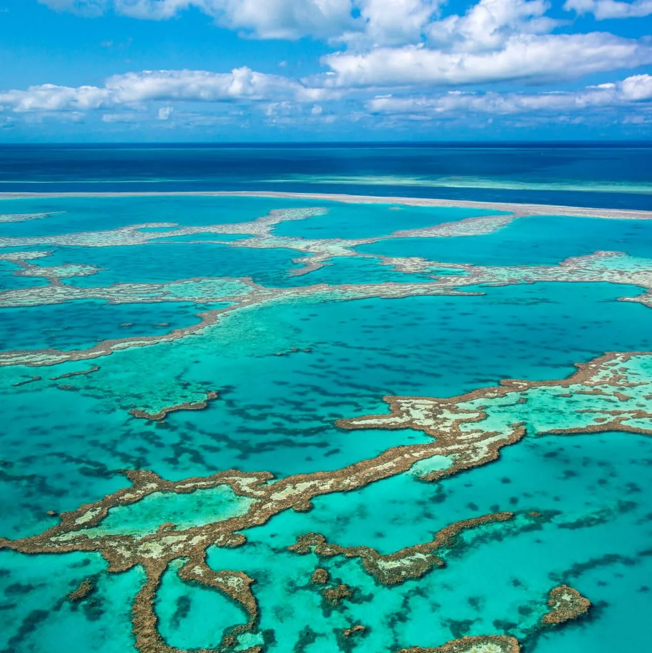 5 Days in the Great Barrier Reef – What One Spot Would Give the Most Complete Experience?
