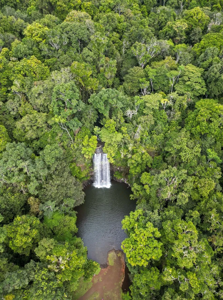 San Sebastian Tour Virtual | 5 Days in the Great Barrier Reef – What One Spot Would Give the Most Complete Experience? Atherton Tablelands