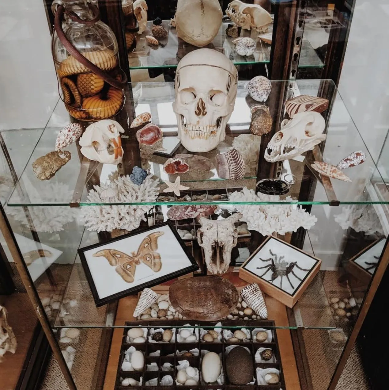 Best Vintage Shops and Antiques in the Blue Mountains