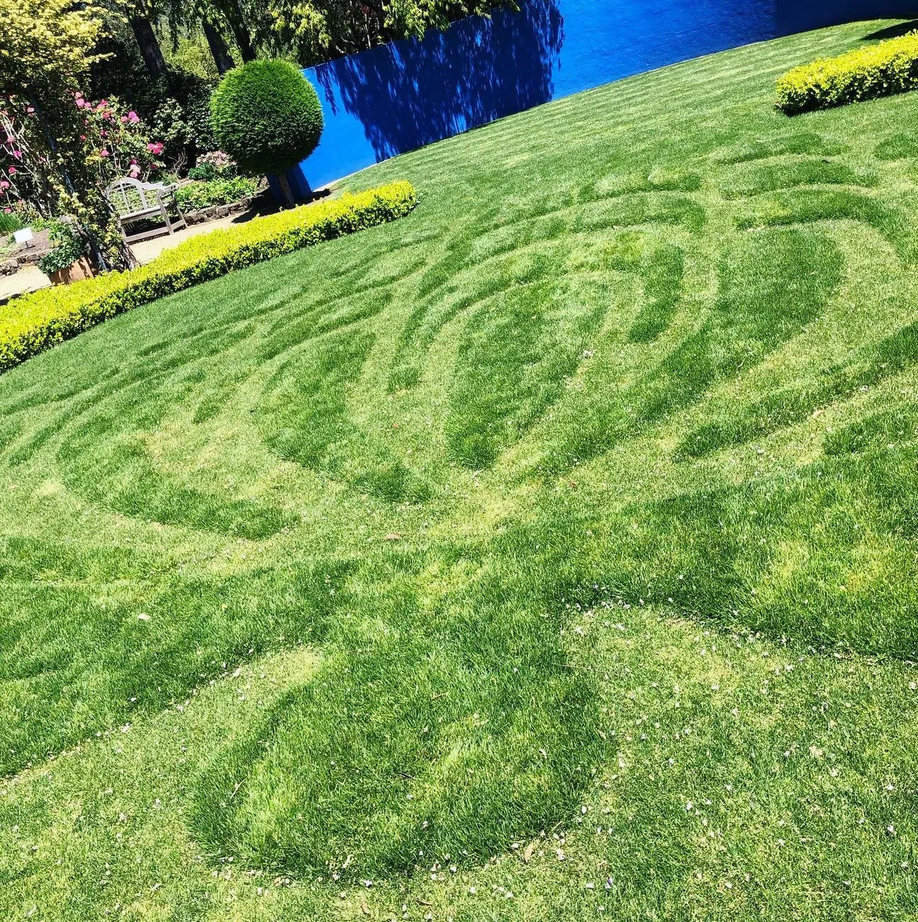 San Sebastian Tour Virtual | Where to Find the Best Autumn Gardens in the Blue Mountains Blue Mountains Tours