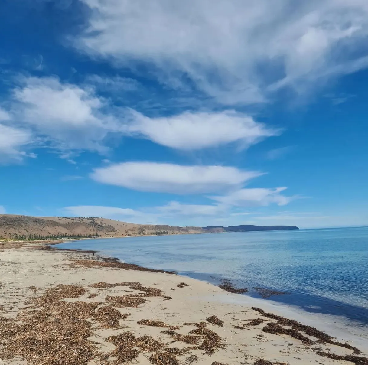 Explore Warrnambool: Beaches, Wildlife, and Cultural Heritage on Victoria’s Great Ocean Road