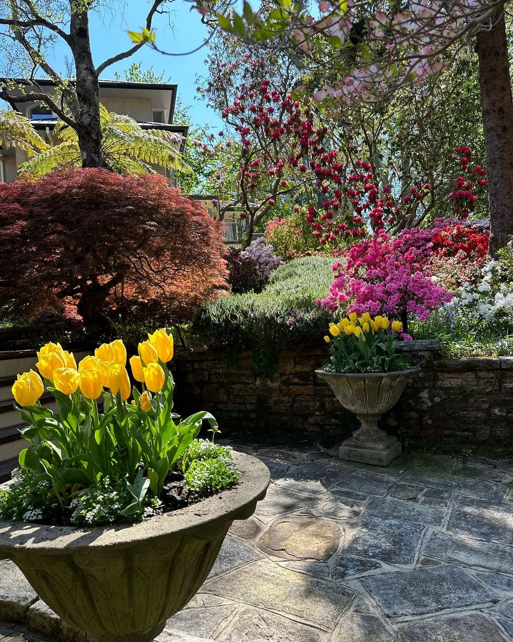San Sebastian Tour Virtual | Where to Find the Best Autumn Gardens in the Blue Mountains Everglades House & Gardens