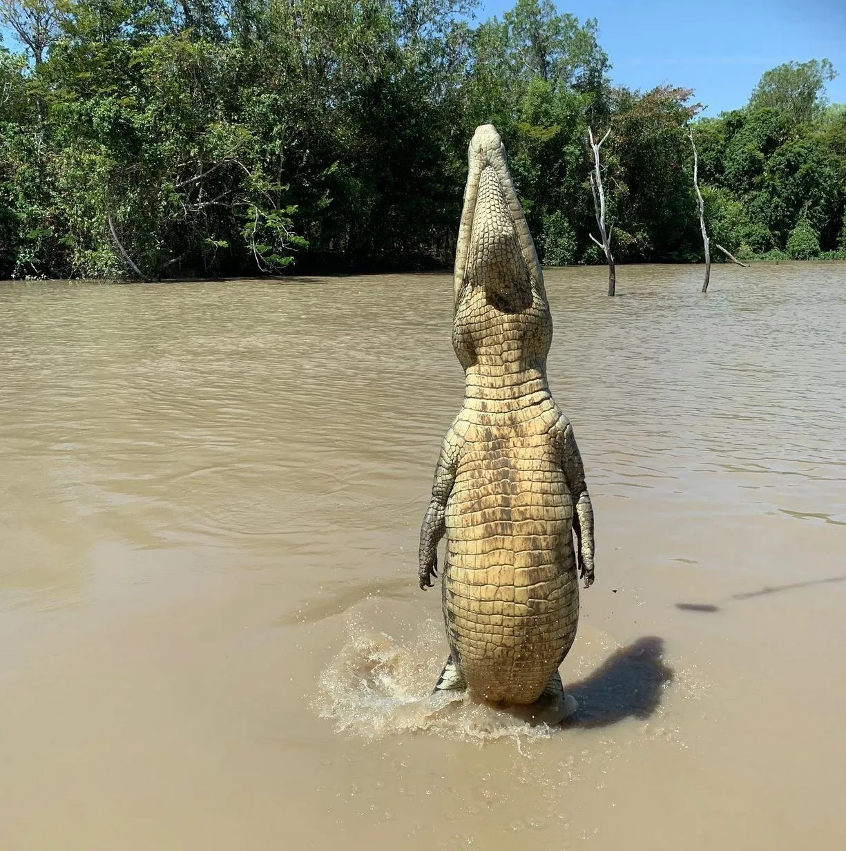 San Sebastian Tour Virtual | What Future Travellers Should Know Before a Jumping Crocodile Cruise What I’ve Learnt From Travelling The Territory