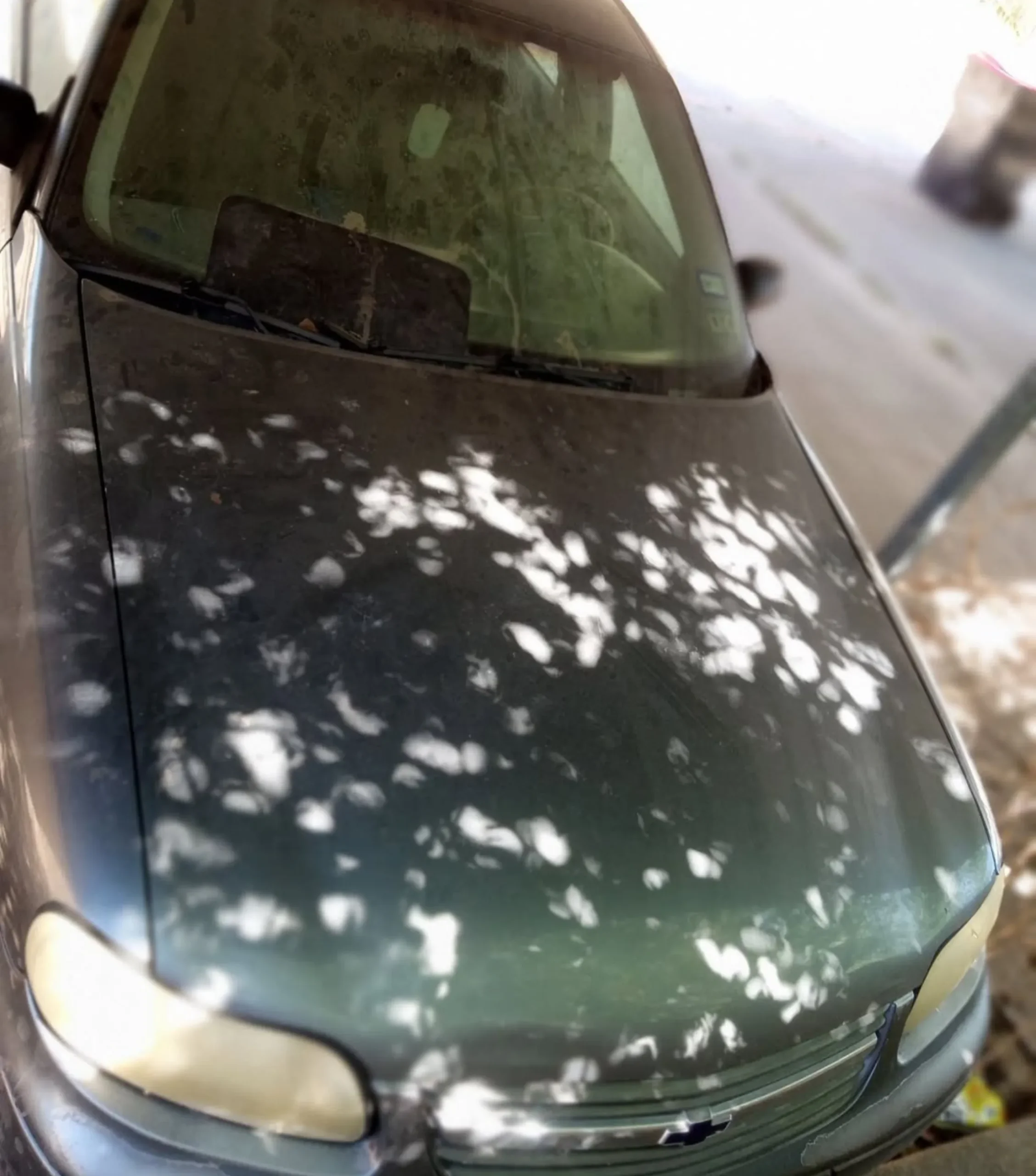What to Do with a Dead Car in Melbourne?