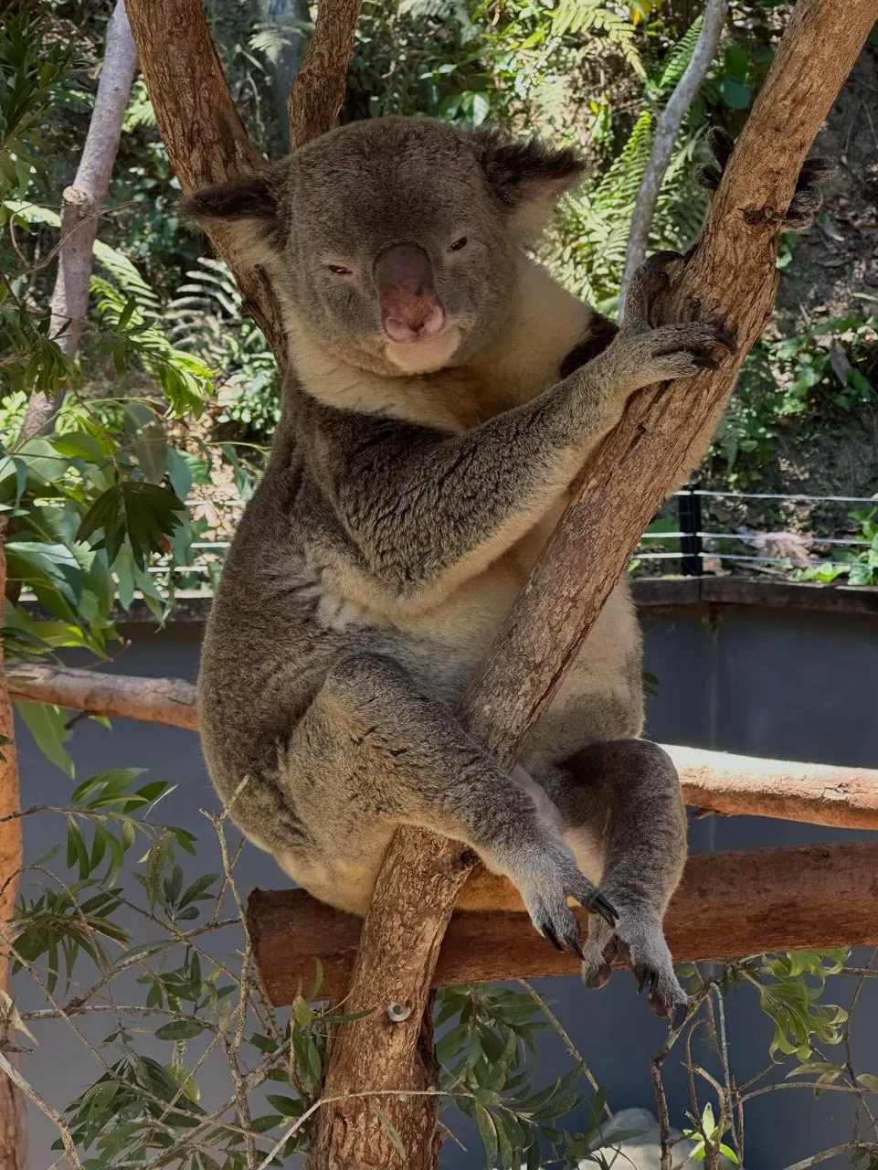 San Sebastian Tour Virtual | 5 Days in the Great Barrier Reef – What One Spot Would Give the Most Complete Experience? Where the Rainforest Meets the Reef