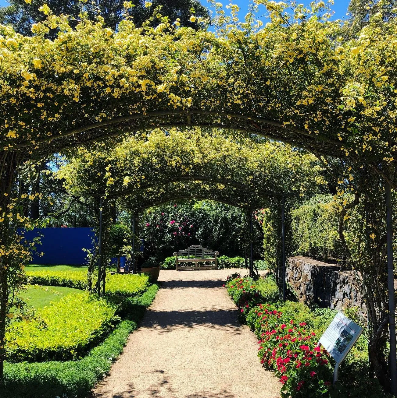 Where to Find the Best Autumn Gardens in the Blue Mountains
