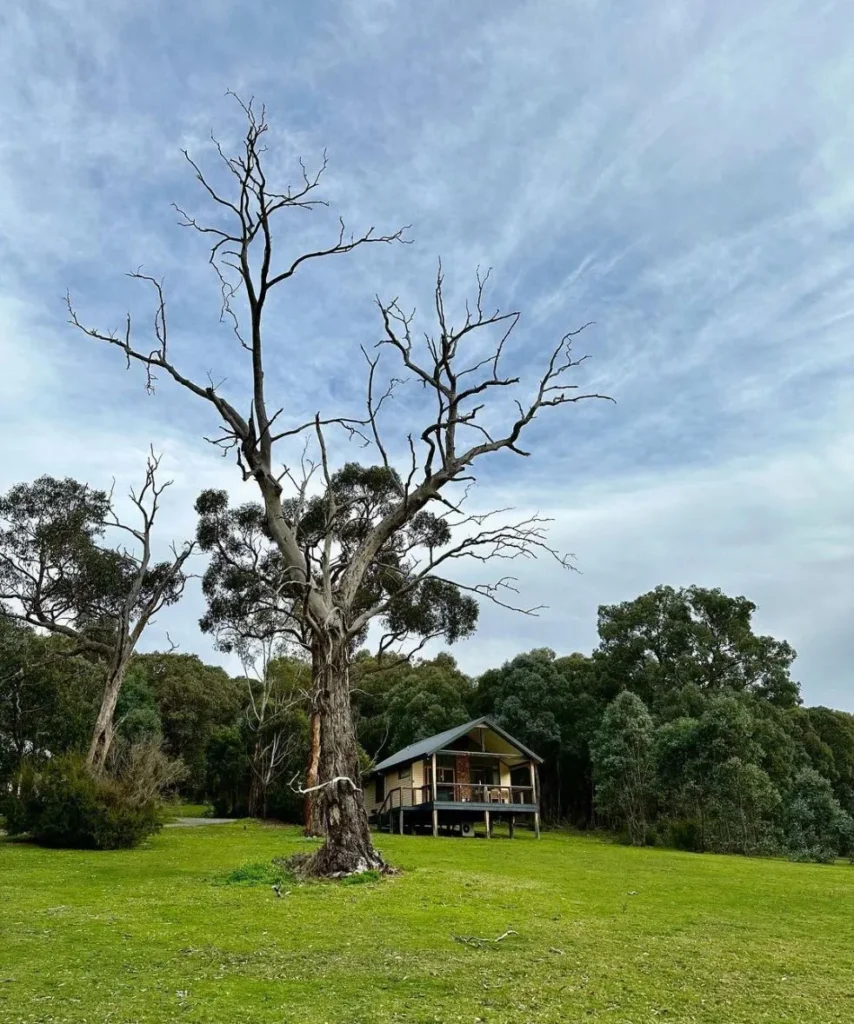 Yering Gorge Cottages