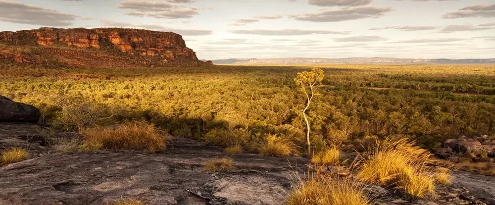 Discover the Wonders of Kakadu National Park on a 3-Day Expedition