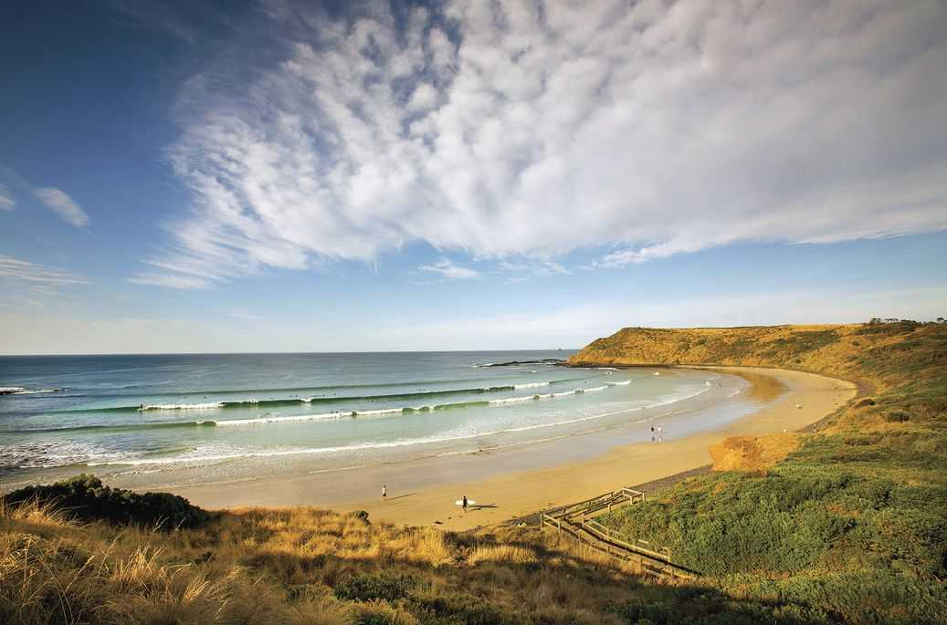 Embark on a Journey to Phillip Island and Uncover Its Natural Beauty