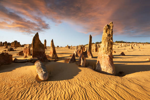 Explore Perth's Wonders with Pinnacle Tours